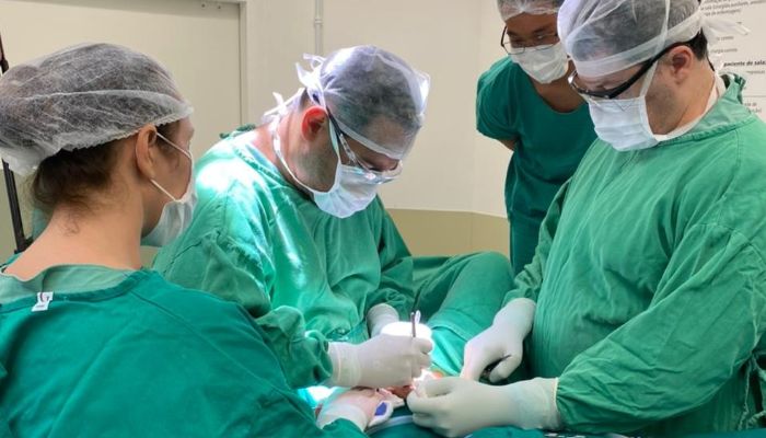 blumenau cirurgia sexo readequação irmãs gêmeas