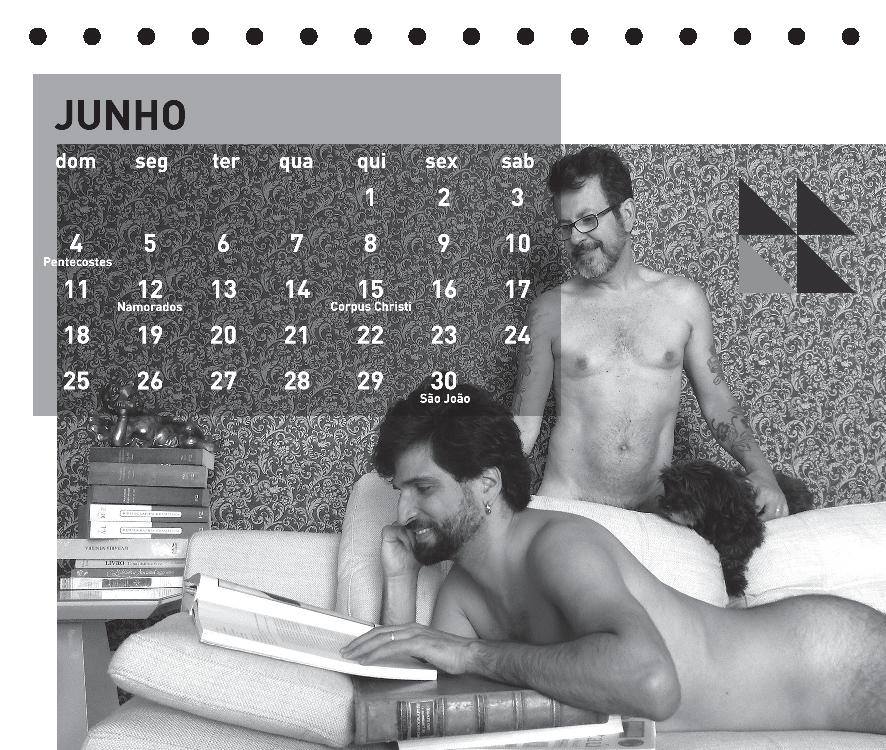 biblioteca da diversidade 2017 calendário