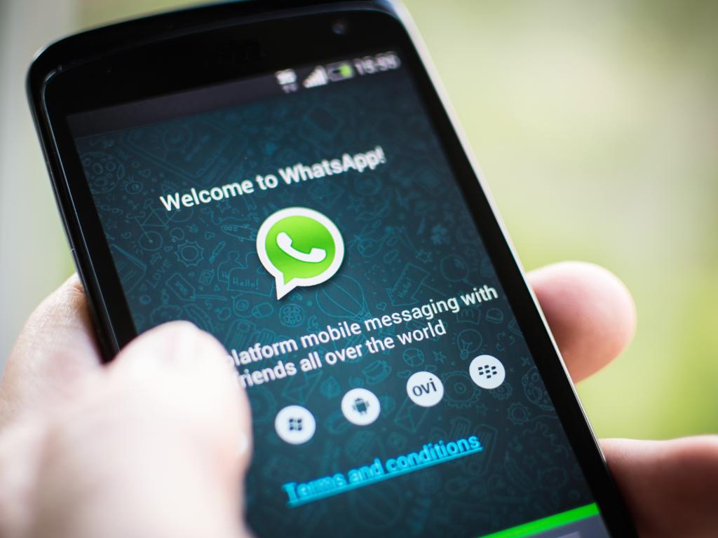 Whatsapp exclusivo para homens e mulheres trans